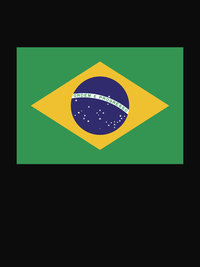 Thumbnail for Brazil Flag T-Shirt - Black - Decorate View