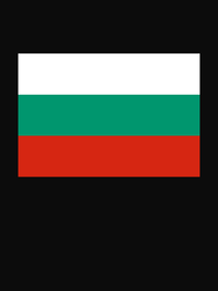 Thumbnail for Bulgaria Flag T-Shirt - Black - Decorate View