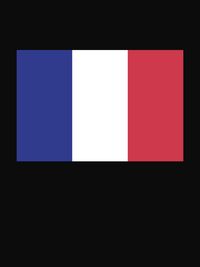 Thumbnail for France Flag T-Shirt - Black - Decorate View