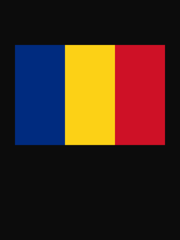 Romania Flag T-Shirt - Black - Decorate View
