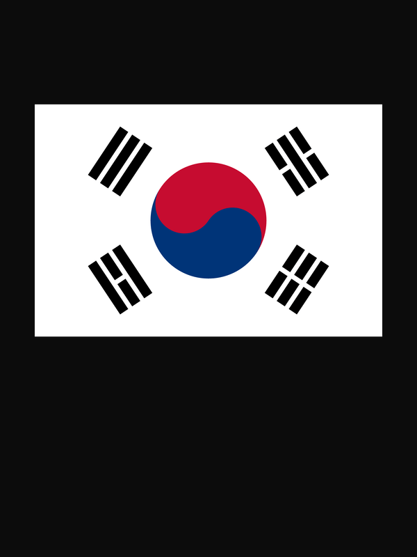 South Korea Flag T-Shirt - Black - Decorate View