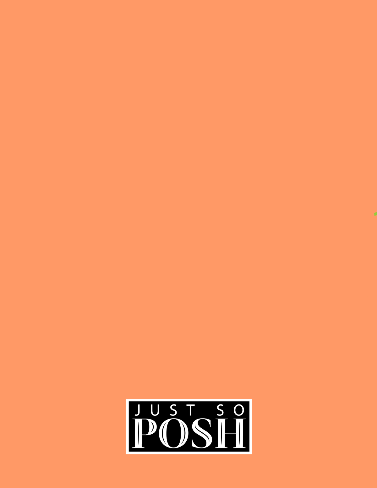 Personalized Dogs Notebook XXV - Orange Background - American Staffordshire Terrier - Back View