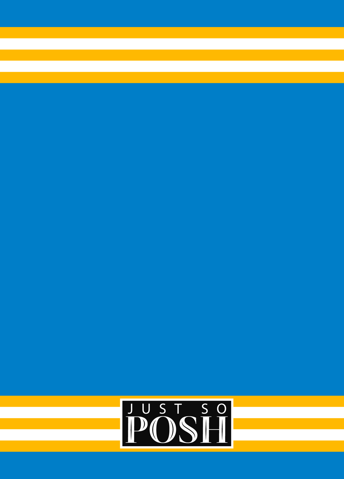 Personalized Jersey Number Journal - Blue and Gold - Double Stripe - Back View