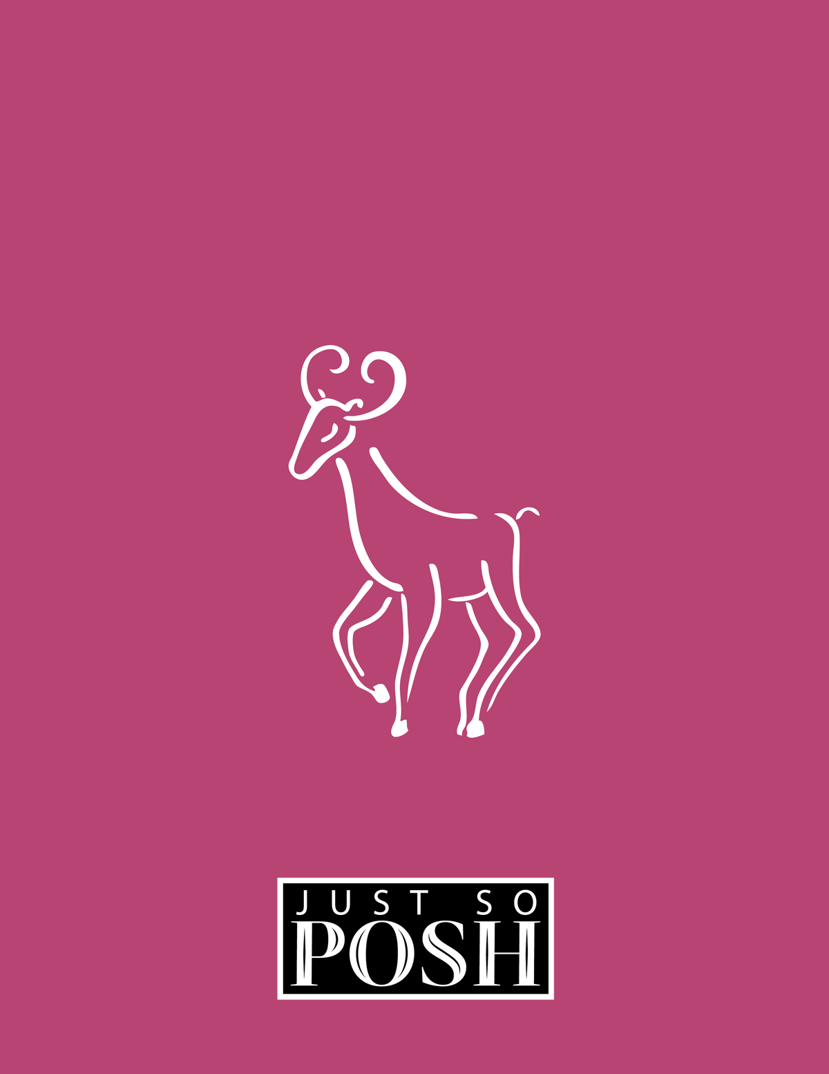 Zodiac Sign Notebook - Characteristics of an Aries - Back View