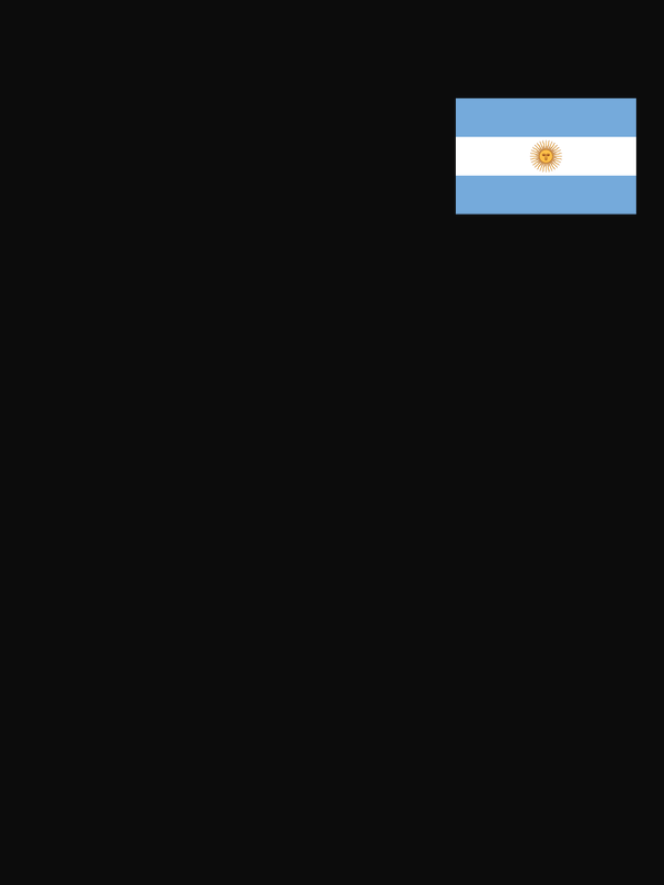 Argentina Flag T-Shirt - Black - Decorate View