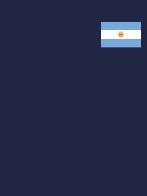 Argentina Flag T-Shirt - Navy Blue - Decorate View
