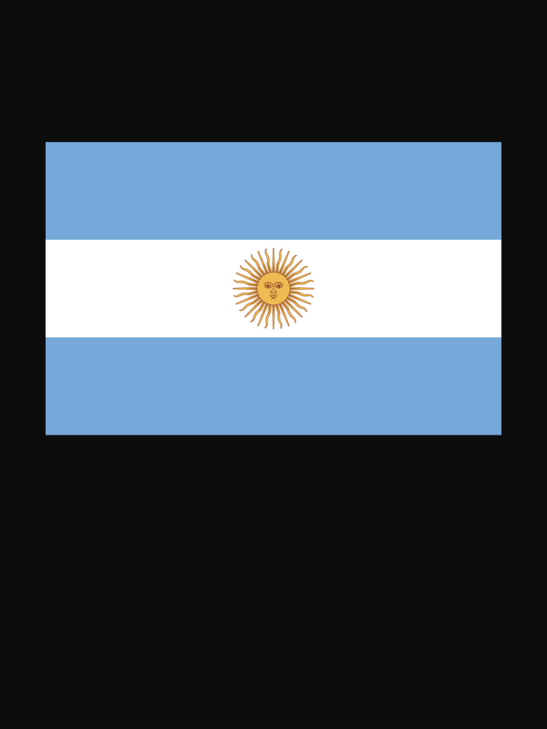 Argentina Flag T-Shirt - Black - Decorate View