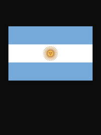 Thumbnail for Argentina Flag T-Shirt - Black - Decorate View