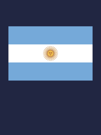 Thumbnail for Argentina Flag T-Shirt - Navy Blue - Decorate View
