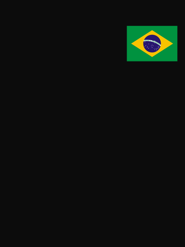 Brazil Flag T-Shirt - Black - Decorate View
