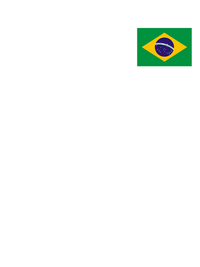 Thumbnail for Brazil Flag T-Shirt - White - Decorate View