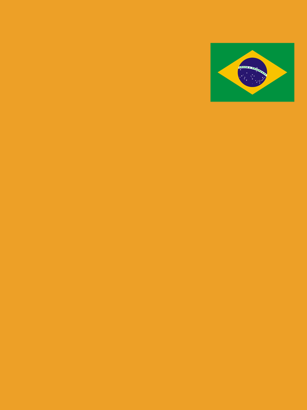Brazil Flag T-Shirt - Gold - Decorate View