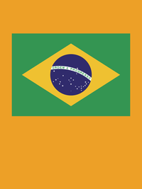 Thumbnail for Brazil Flag T-Shirt - Gold - Decorate View