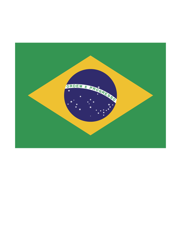 Brazil Flag T-Shirt - White - Decorate View