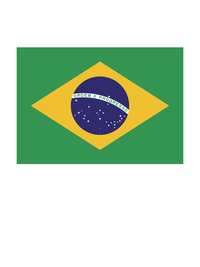Thumbnail for Brazil Flag T-Shirt - White - Decorate View