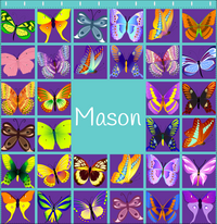 Thumbnail for Personalized Butterfly Shower Curtain VII - Teal Background - Decorate View