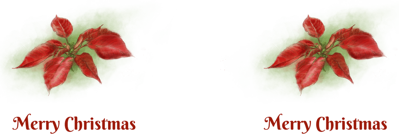 Personalized Christmas Poinsettia Pilsner Tumbler (20 oz) - 2-sided print - Graphic View