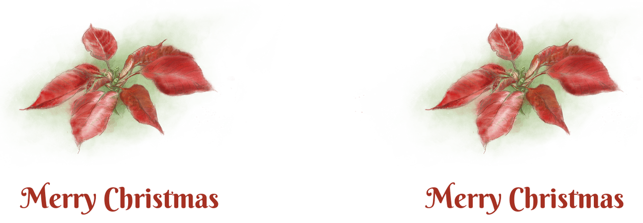 Personalized Christmas Poinsettia Pilsner Tumbler (20 oz) - 2-sided print - Graphic View