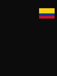 Thumbnail for Colombia Flag T-Shirt - Black - Decorate View