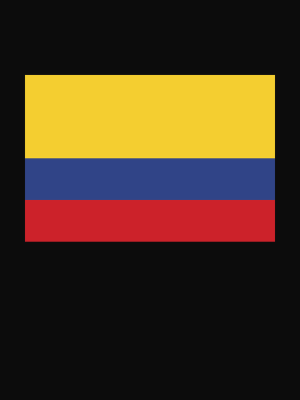 Colombia Flag T-Shirt - Black - Decorate View