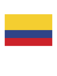 Thumbnail for Colombia Flag T-Shirt - White - Decorate View