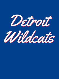 Thumbnail for Personalized Detroit T-Shirt - Blue - Decorate View
