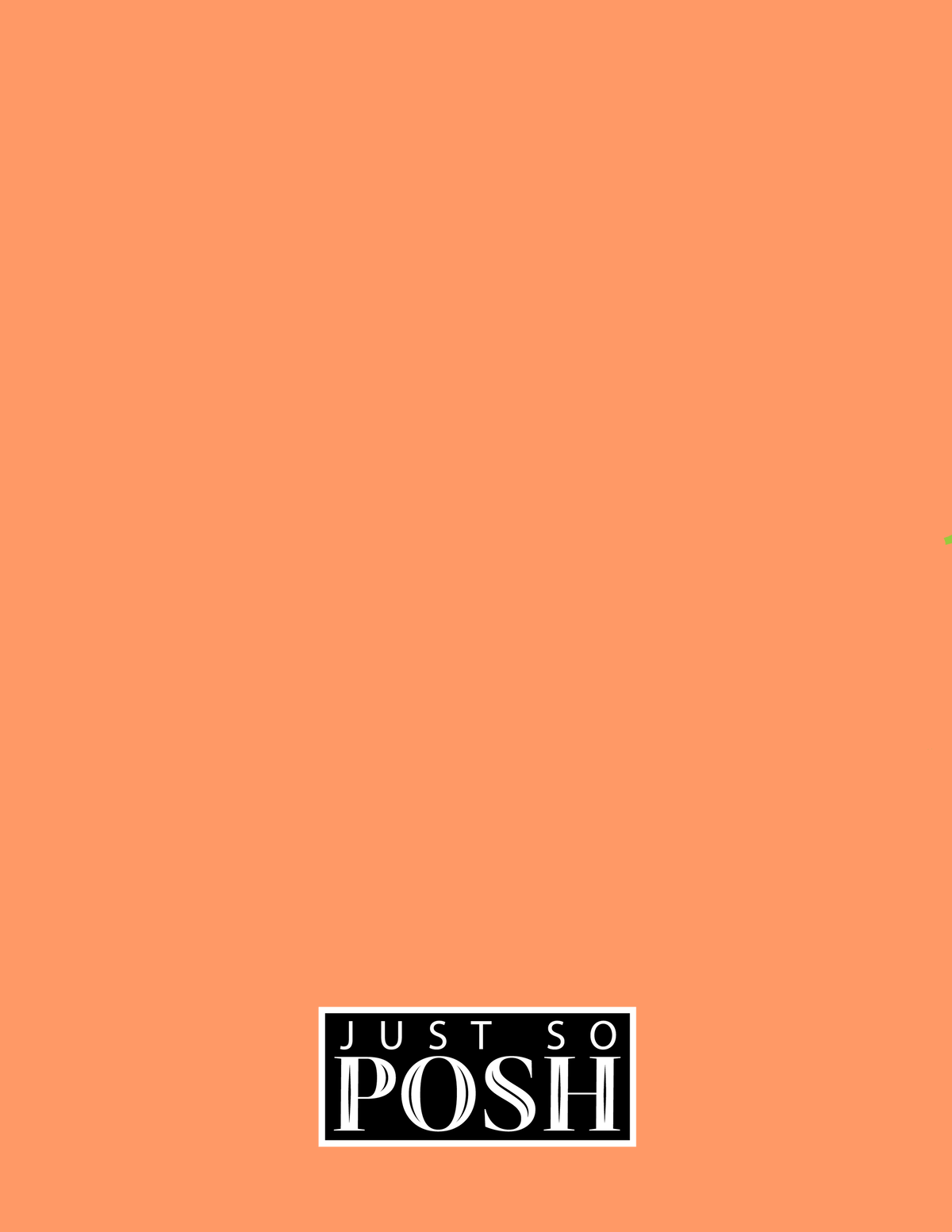 Personalized Dogs Notebook XXV - Orange Background - Basset Hound - Back View