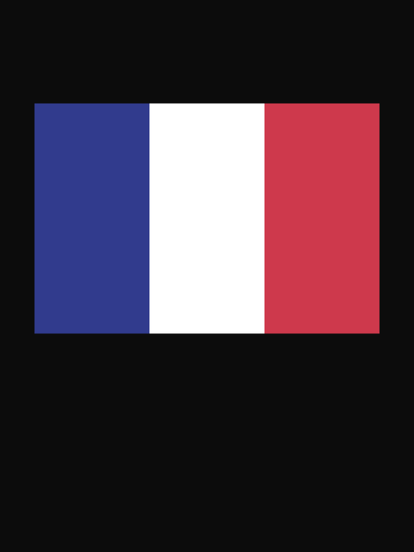 France Flag T-Shirt - Black - Decorate View