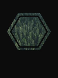 Thumbnail for Geometric Forest T-Shirt - Black - Decorate View