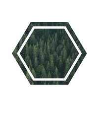 Thumbnail for Geometric Forest T-Shirt - White - Decorate View