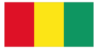 Thumbnail for Guinea Flag Beach Towel - Front View