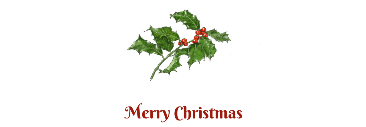 Personalized Holly Leaves Pilsner Tumbler (20 oz) - Front print - Graphic View