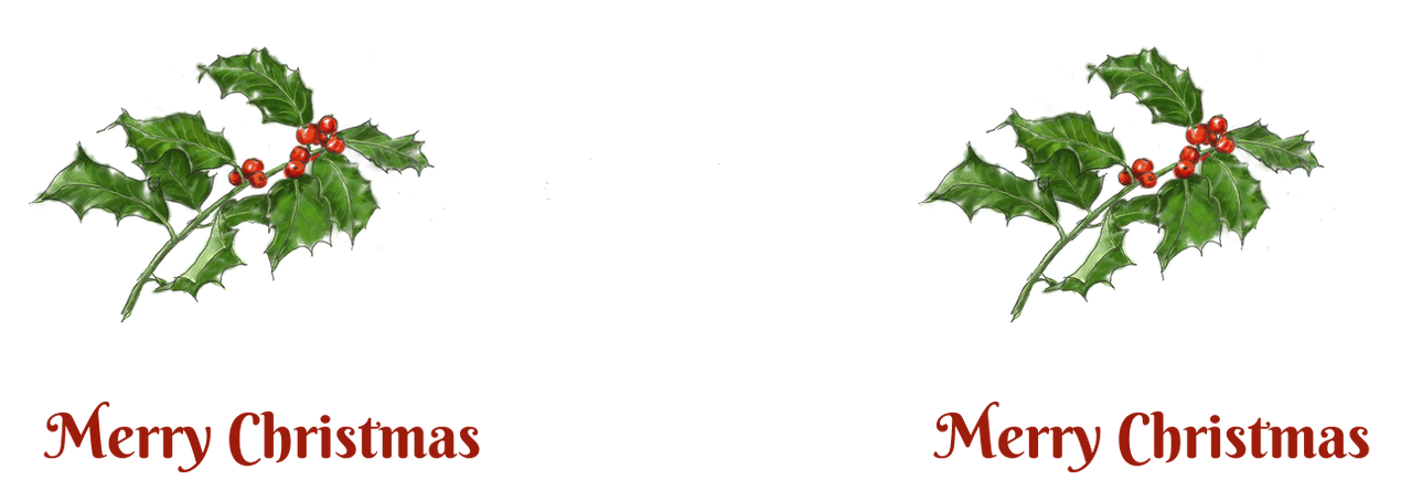 Personalized Holly LeavesCoffee Mug Tumbler with Handle (15 oz) - 2-sided print - Graphic View