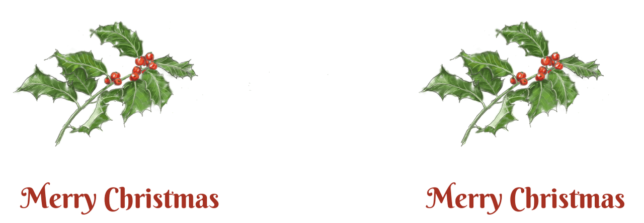 Personalized Holly LeavesCoffee Mug Tumbler with Handle (15 oz) - 2-sided print - Graphic View