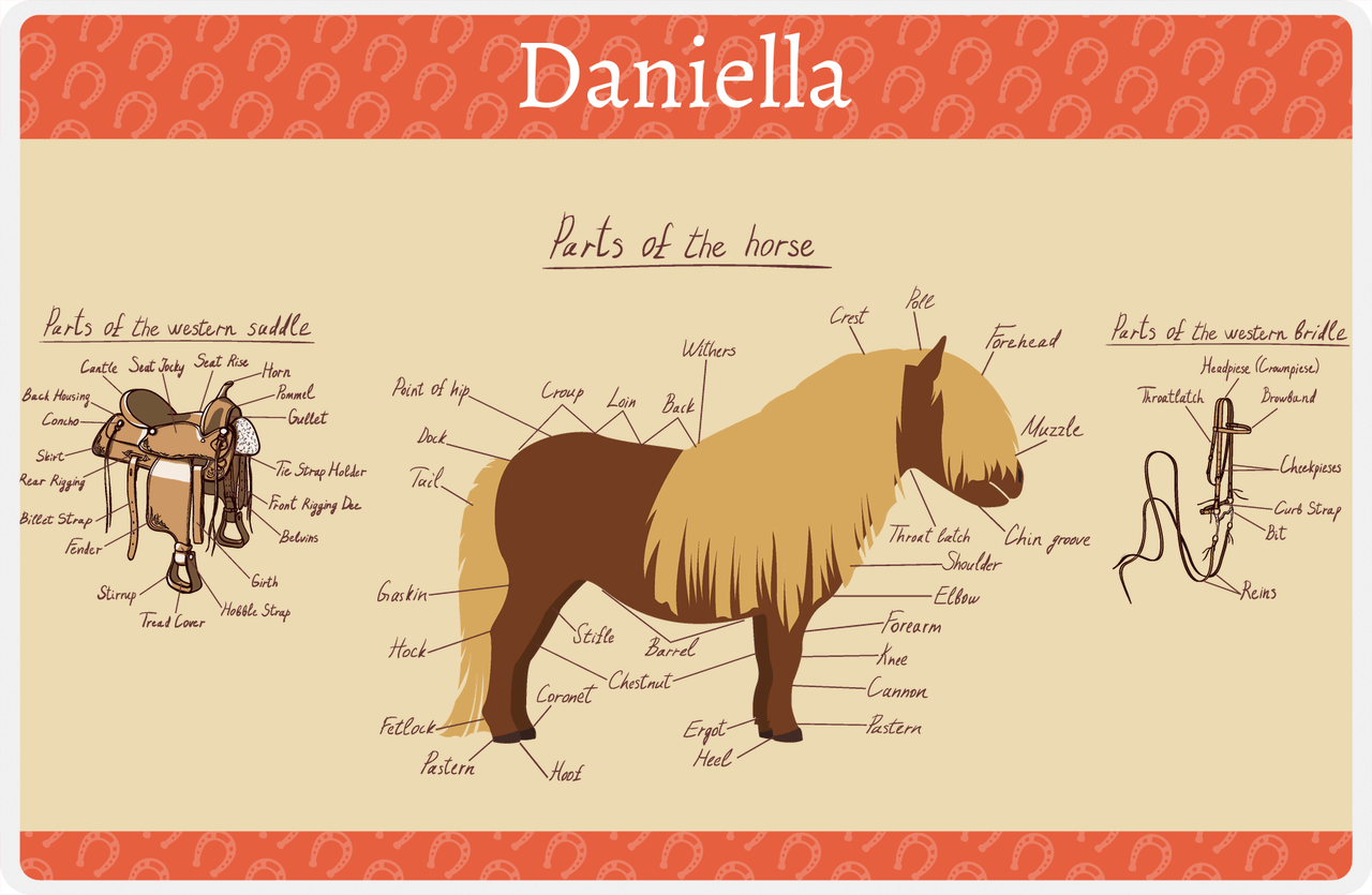 Personalized Horse Placemat XV - Horse Diagram - Shetland Pony -  View