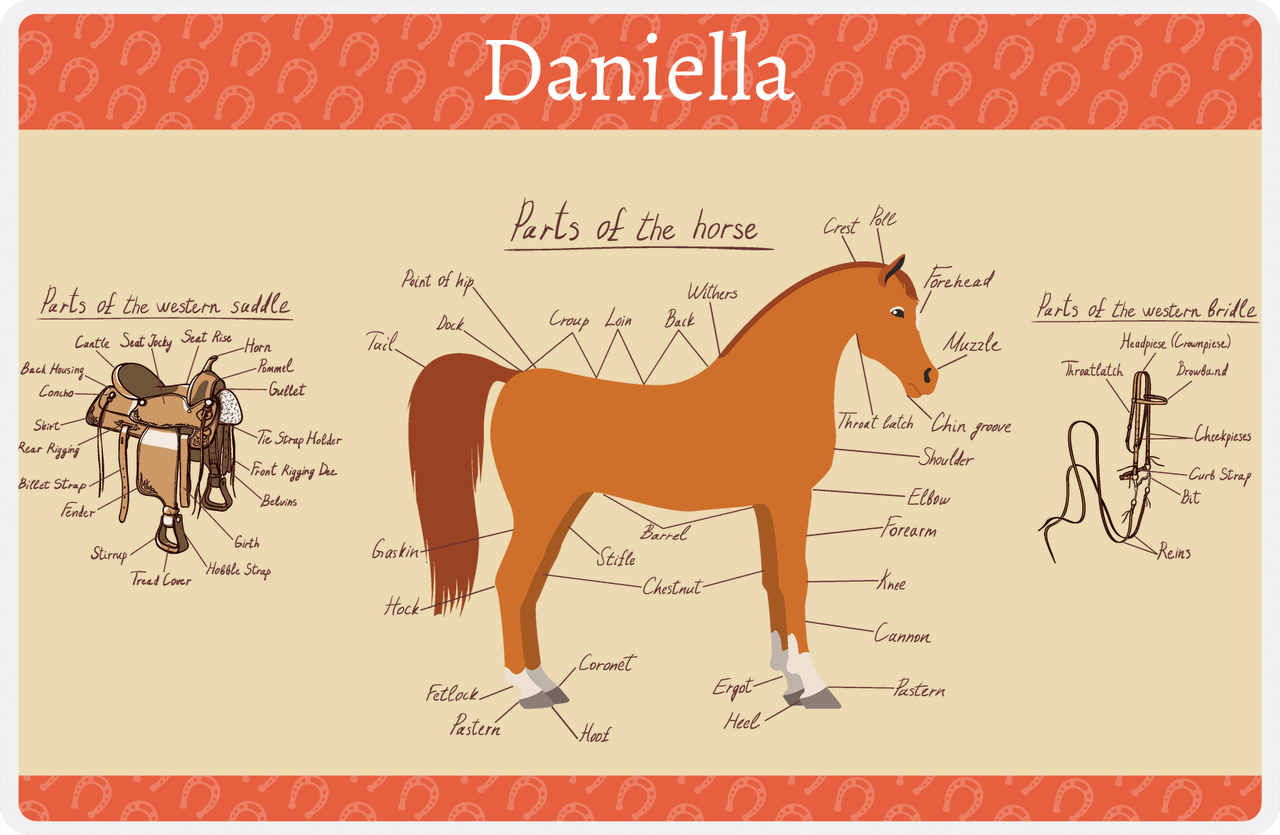 Personalized Horse Placemat XV - Horse Diagram - Arabian Horse -  View