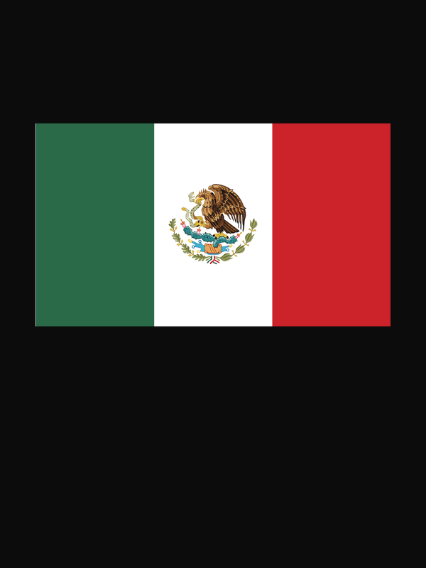 Mexico Flag T-Shirt - Black - Decorate View