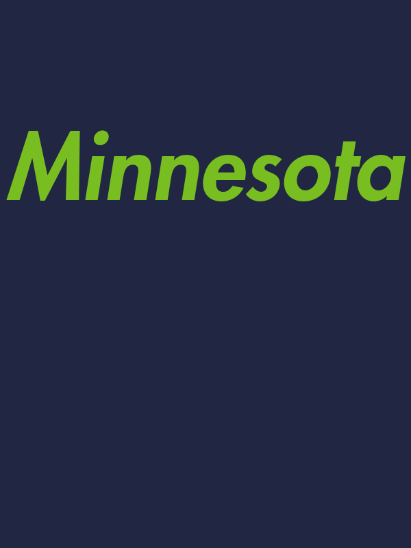 Personalized Minnesota T-Shirt - Blue - Decorate View