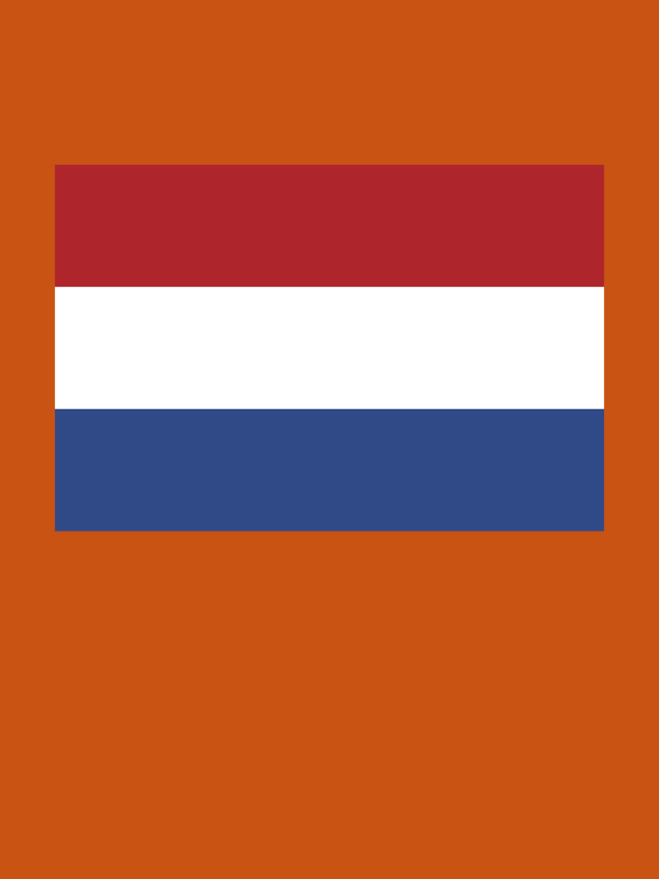 Netherlands Flag T-Shirt - Orange - Decorate View
