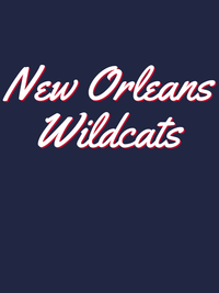Thumbnail for Personalized New Orleans T-Shirt - Blue - Decorate View