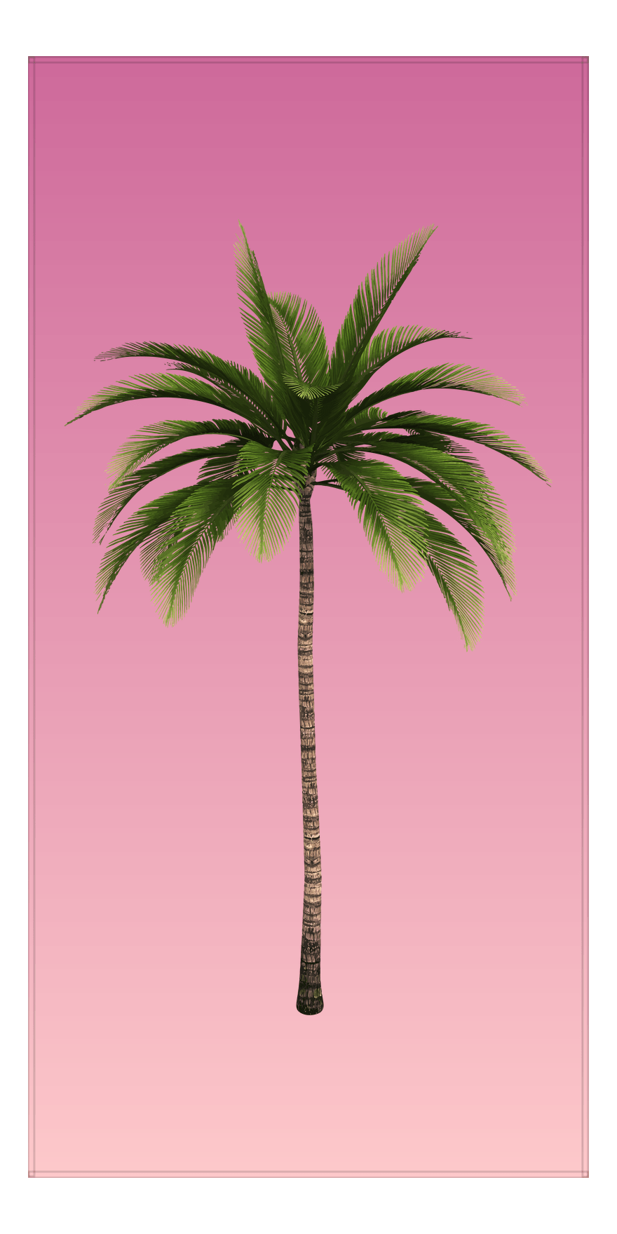 Ombre Palm Tree Beach Towel - Front View
