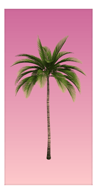 Thumbnail for Ombre Palm Tree Beach Towel - Front View