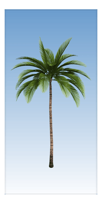 Thumbnail for Ombre Palm Tree Beach Towel - Front View