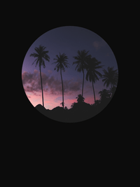 Thumbnail for Palm Trees T-Shirt - Black - Decorate View