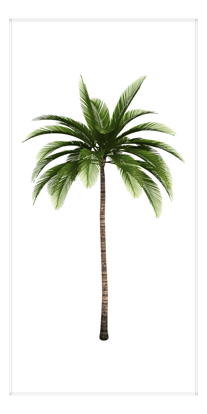 Palm Tree Beach Towel - Front View
