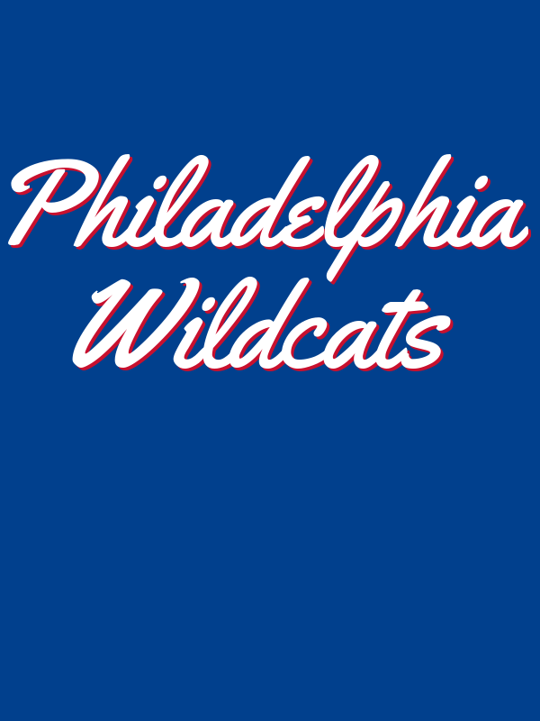 Personalized Philadelphia T-Shirt - Blue - Decorate View