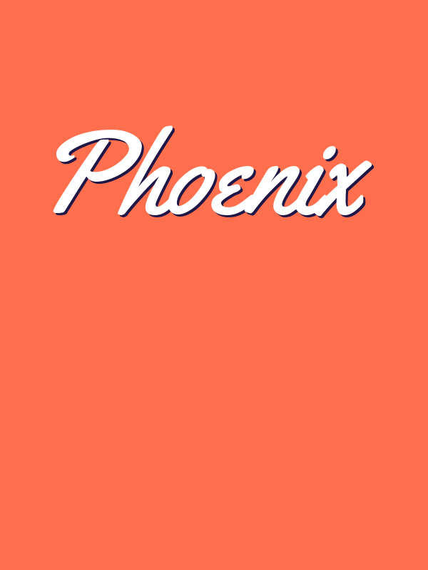 Personalized Phoenix T-Shirt - Orange - Decorate View