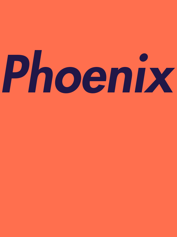 Personalized Phoenix T-Shirt - Orange - Decorate View