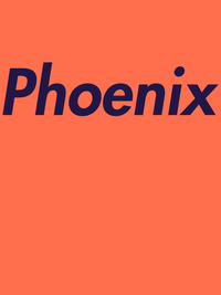 Thumbnail for Personalized Phoenix T-Shirt - Orange - Decorate View