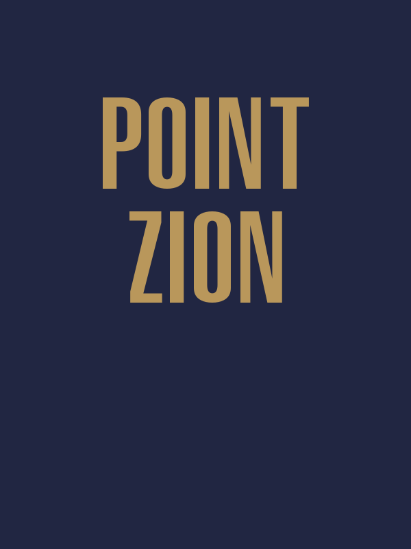 Point Zion Basketball T-Shirt - New Orleans Blue - Decorate View